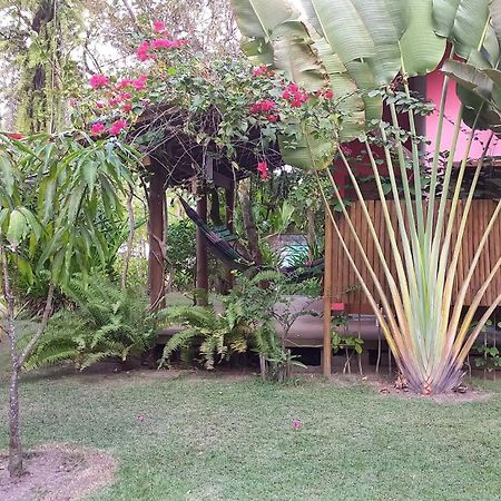 Pachamama Flats - Taipu De Fora Διαμέρισμα Barra Grande  Εξωτερικό φωτογραφία